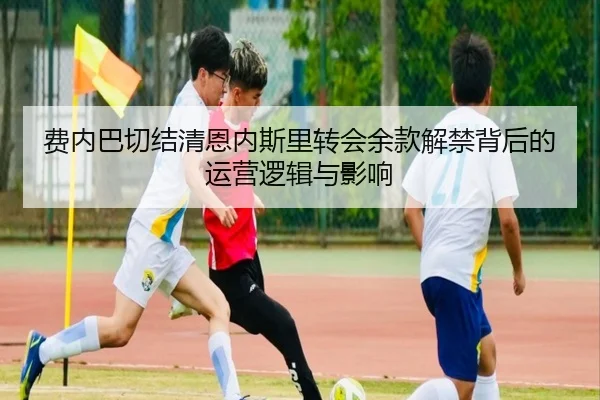 费内巴切结清恩内斯里转会余款解禁背后的运营逻辑与影响